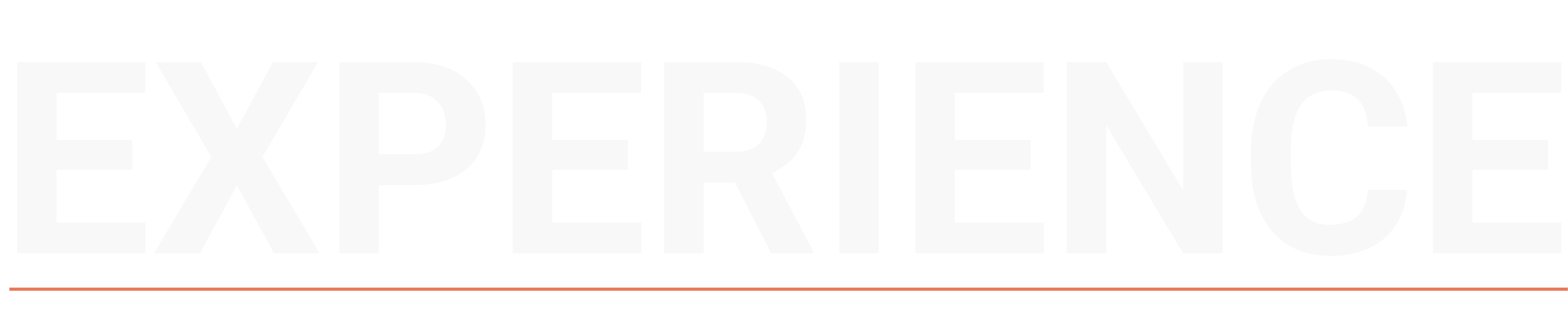 Experience — decorative heading graphic